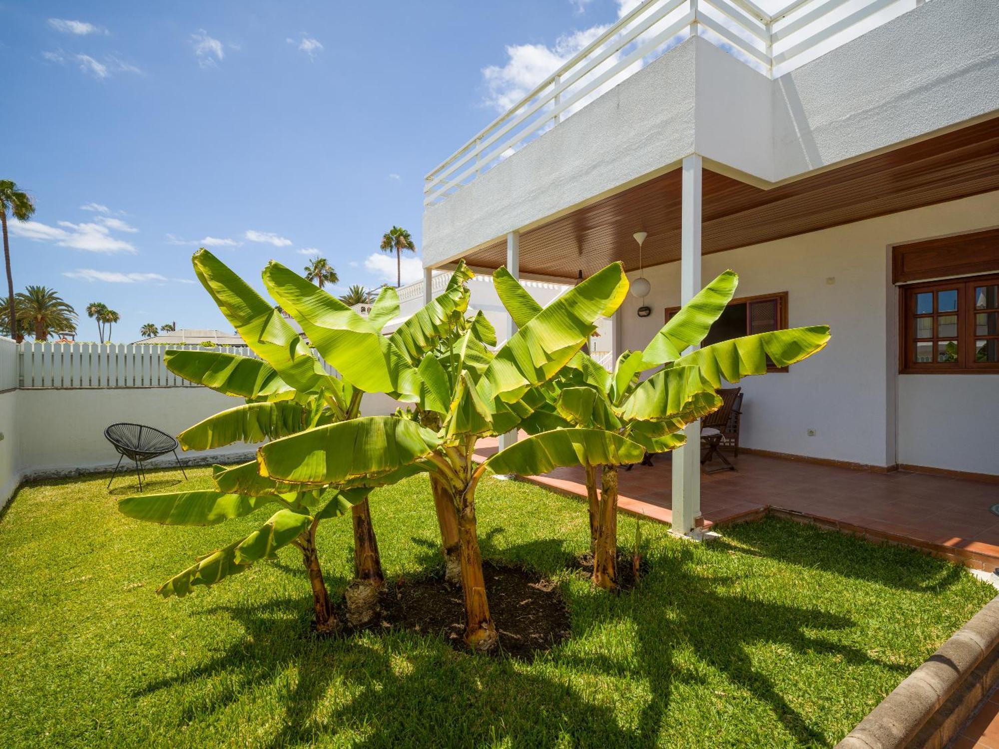 Banana House In Top Location By Tenpropertiesgc Maspalomas  Exteriör bild